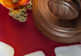 Introduction to the Cannabis Legislation