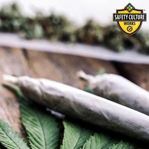 Cannabis (Marijuana) Legislation: Impact on Workplace Safety