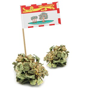 Prince Edward Island Cannabis Control Act (Bill 29, An Act to Respond to the Legalization of Cannabis)