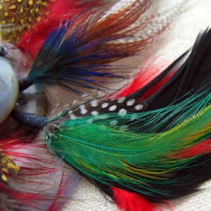 Indigenous Awareness