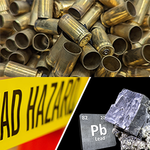 Lead Awareness Training